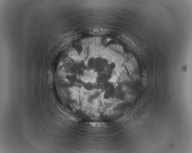 X0000094820371200712141650