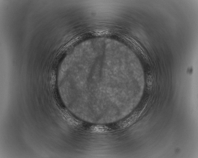 X0000094820372200712141650