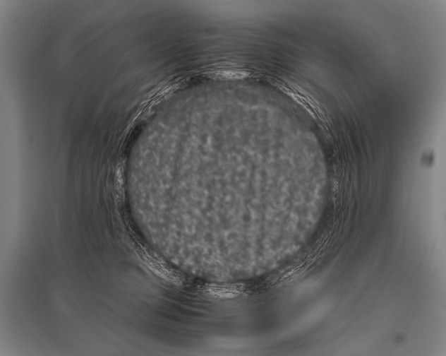 X0000094820373200712141650