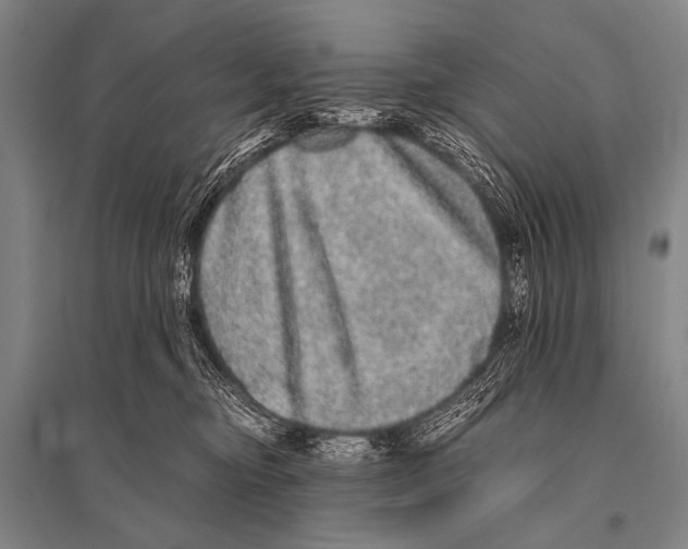 X0000094820374200712141650