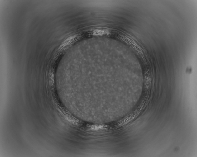 X0000094820375200712141650