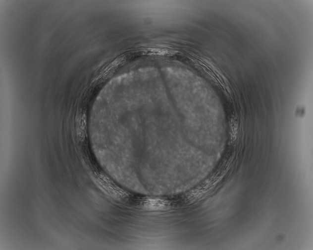 X0000094820376200712141650