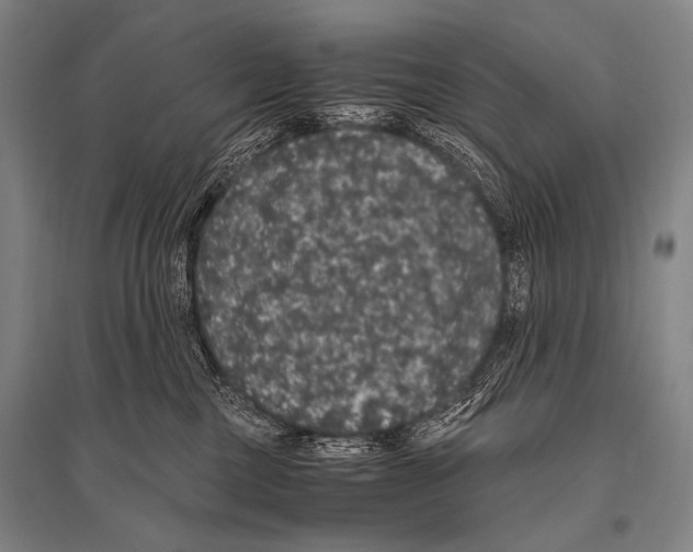 X0000094820377200712141650