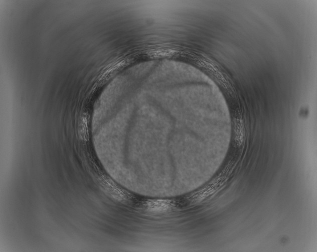 X0000094820378200712141650