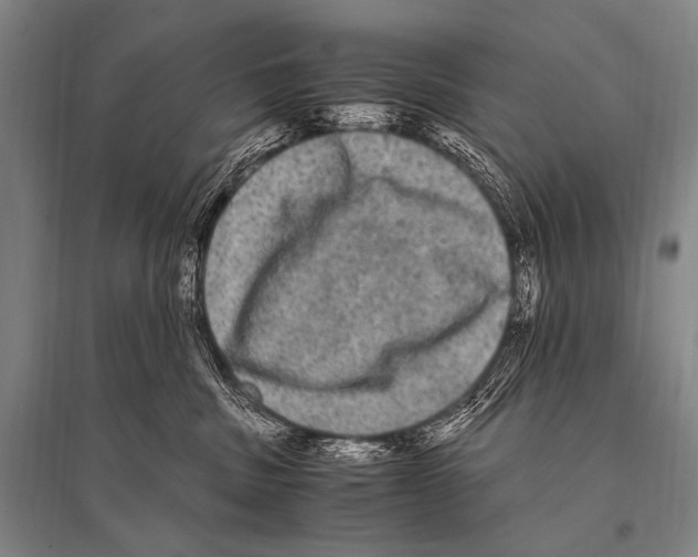 X0000094820379200712141650