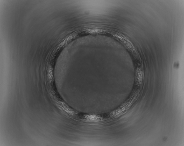 X0000094820380200712141650