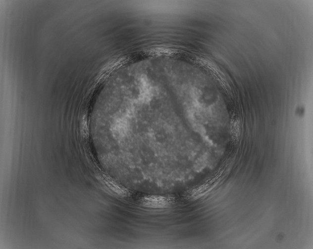 X0000094820381200712141650