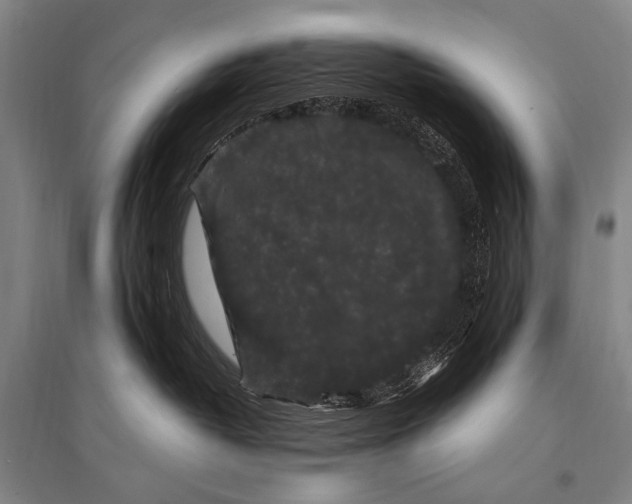 X0000094820382200712141650