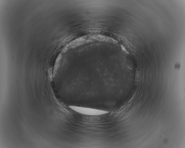 X0000094820383200712141650