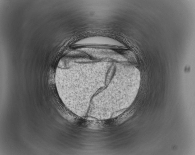 X0000094820384200712141650