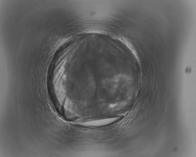 X0000094820385200712141649