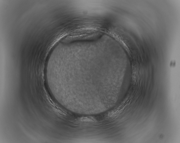 X0000094820386200712141649