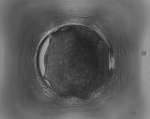 X0000094820387200712141649