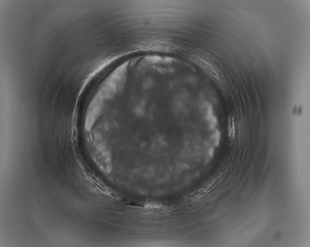 X0000094820388200712141649