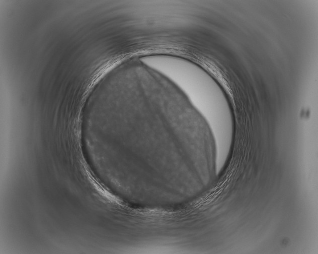 X0000094820389200712141649