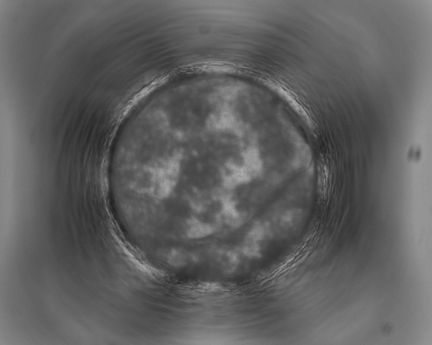 X0000094820390200712141649