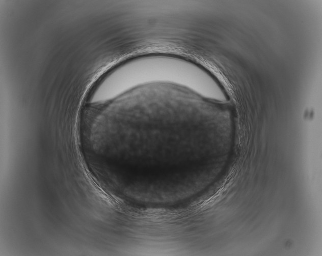 X0000094820391200712141649