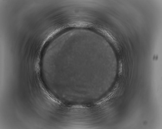 X0000094820392200712141649