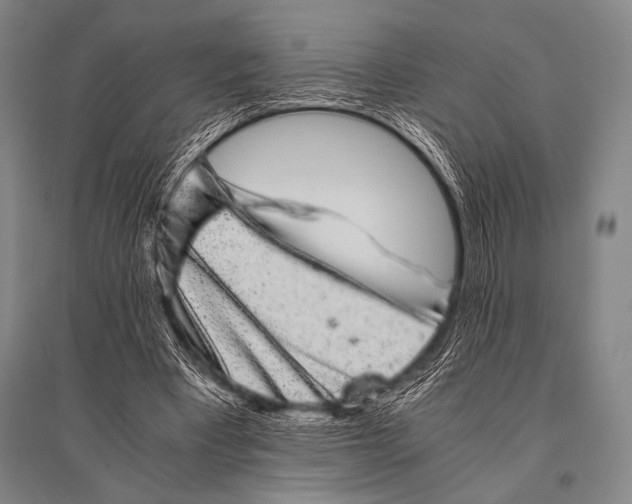 X0000094820393200712141649