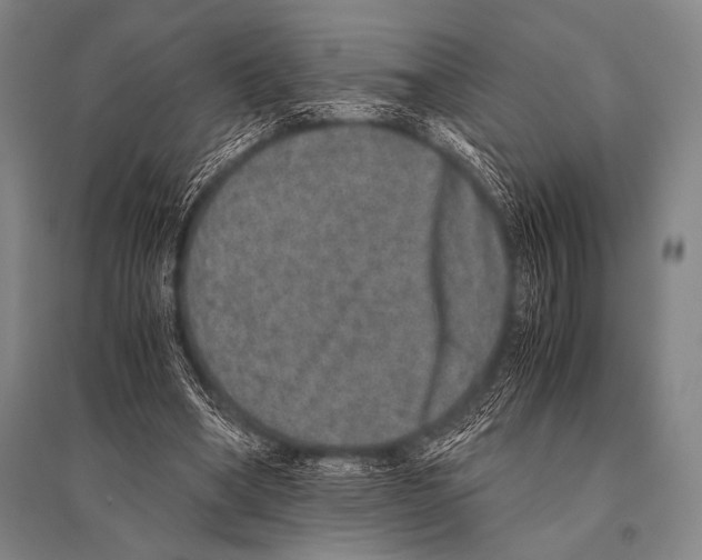 X0000094820394200712141649