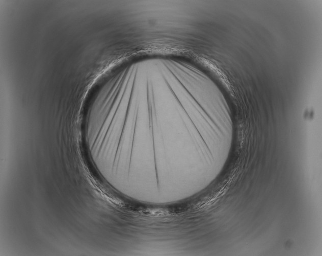 X0000094820395200712141649