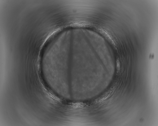 X0000094820396200712141649