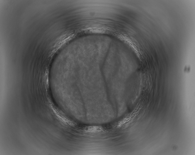 X0000094820398200712141649