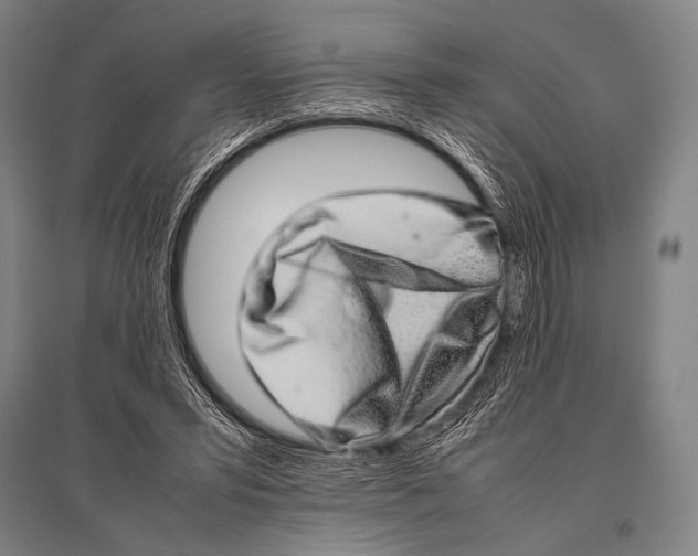 X0000094820399200712141649