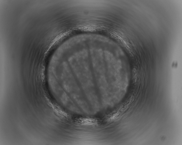 X0000094820400200712141649