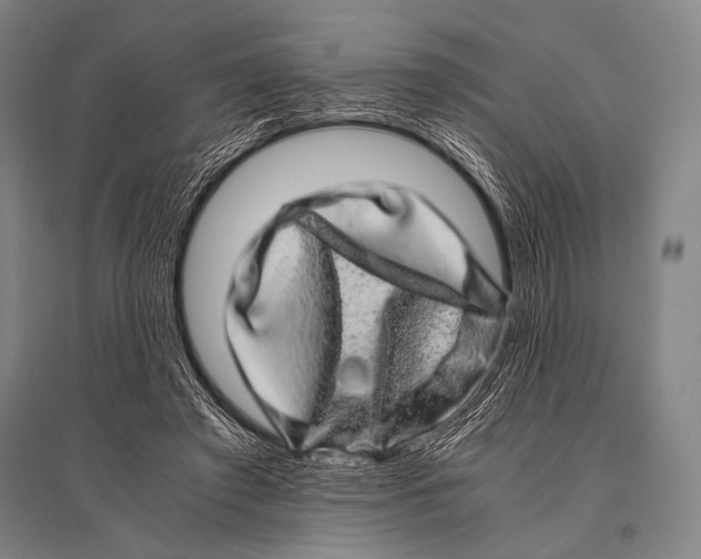 X0000094820401200712141649