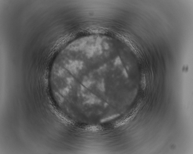 X0000094820402200712141649