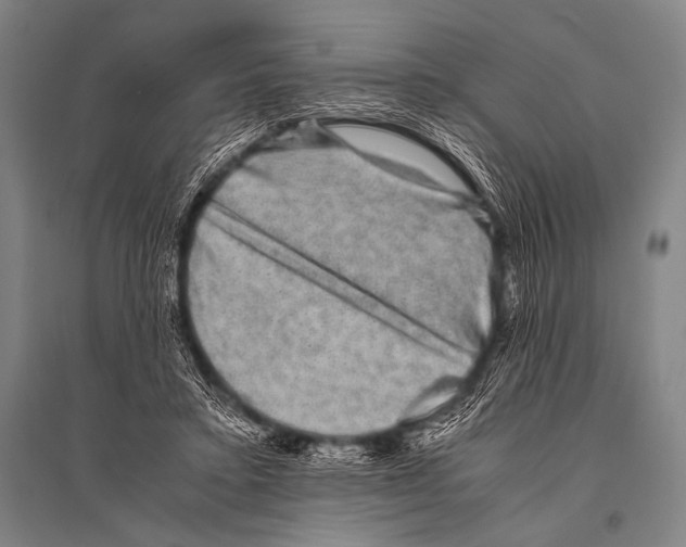 X0000094820403200712141649