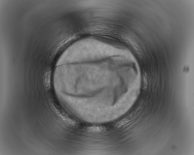 X0000094820404200712141649