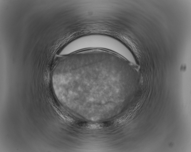 X0000094820405200712141649