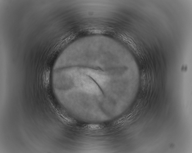 X0000094820406200712141649