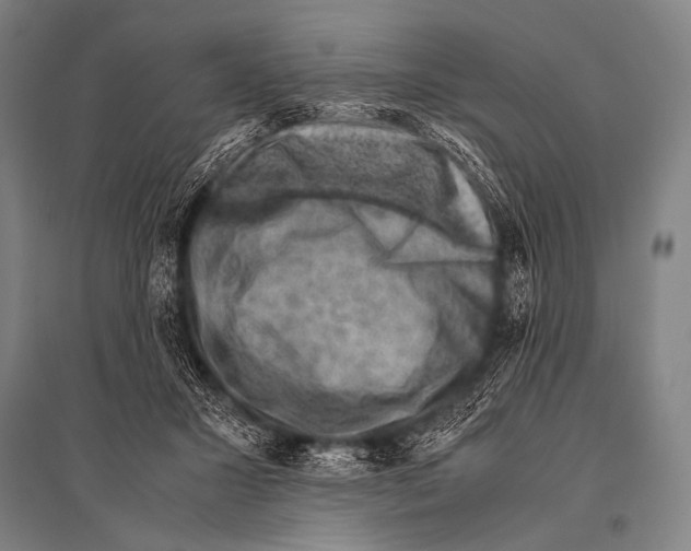 X0000094820407200712141649