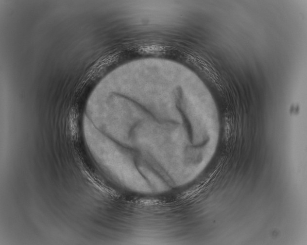 X0000094820408200712141649