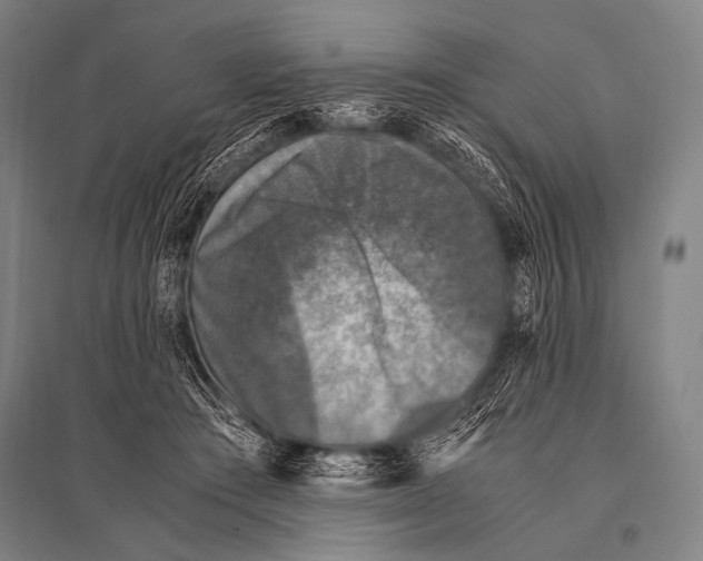 X0000094820409200712141649