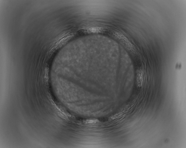 X0000094820410200712141649