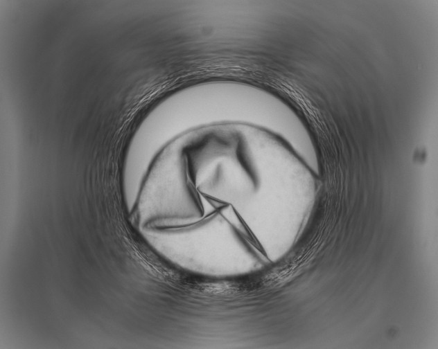 X0000094820411200712141649