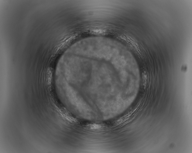 X0000094820412200712141649