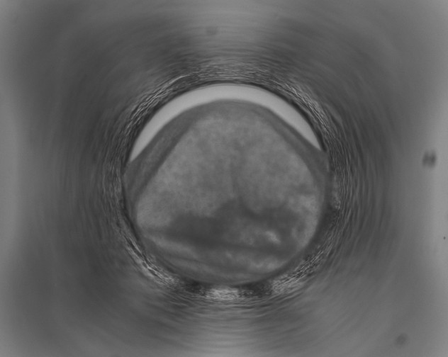 X0000094820413200712141649