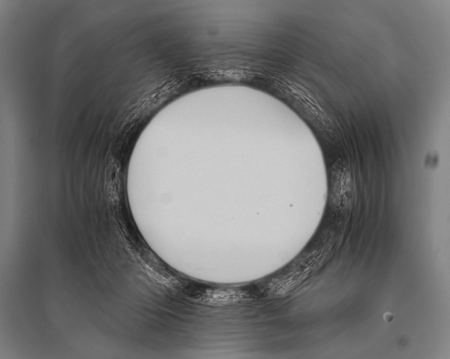 X0000094820414200712141649