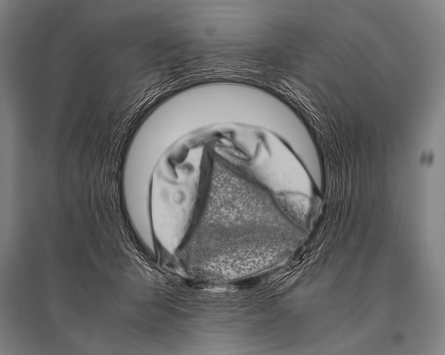 X0000094820415200712141649