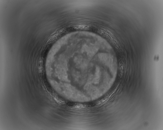 X0000094820416200712141649