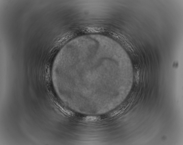 X0000094820418200712141649