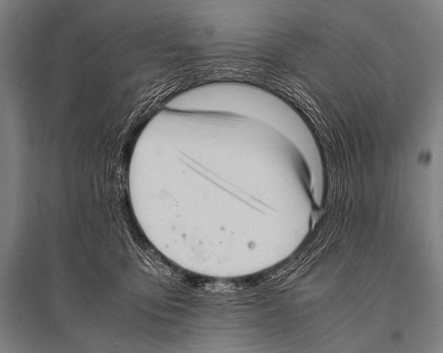 X0000094820419200712141649