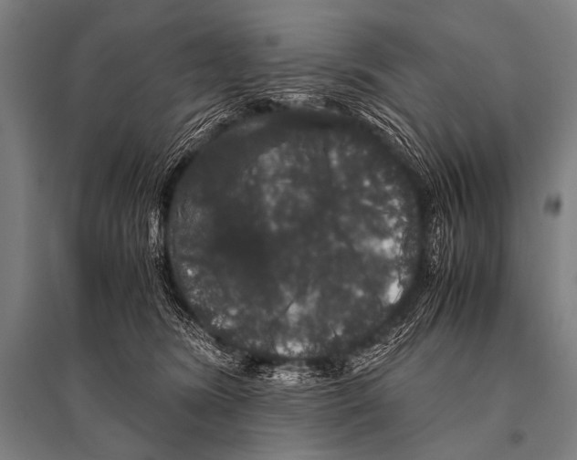 X0000094820420200712141649