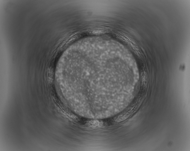 X0000094820421200712141649