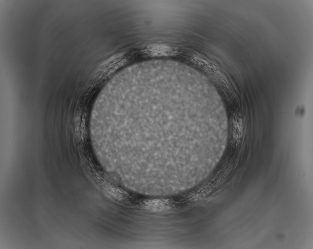 X0000094820422200712141649